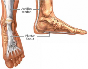 staigus pėdų skausmas osteoartrito pečių sąnarių gydymo nuomonių