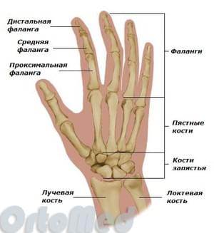 rankų finger sąnariai kūgis remiantis iš priežastį ir gydymo ranka sąnarių