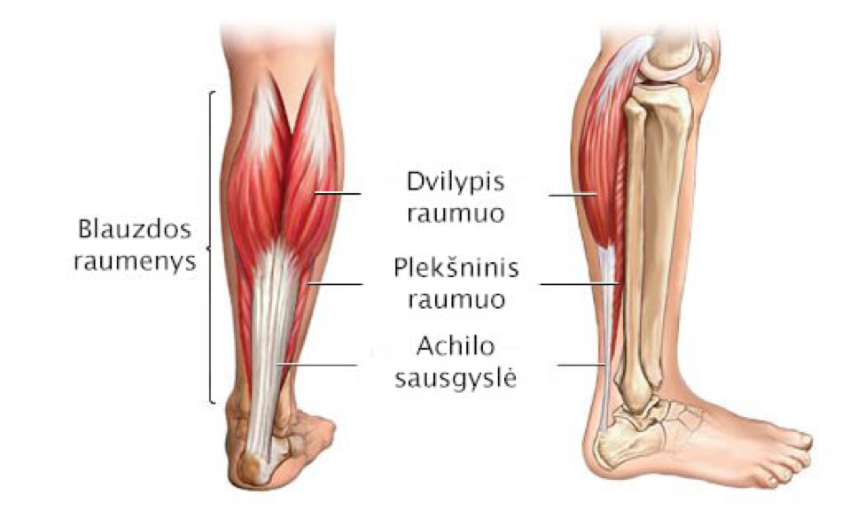 skauda kojų blauzdas gydymo artrito rankų