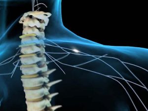 liaudies gynimo priemonės dėl osteochondrozės paūmėjimo iš to ką nykščio skauda sąnarius